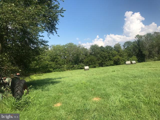 295 Hollow Horn Road Pipersville, PA 18947 - Photo 9 of 20