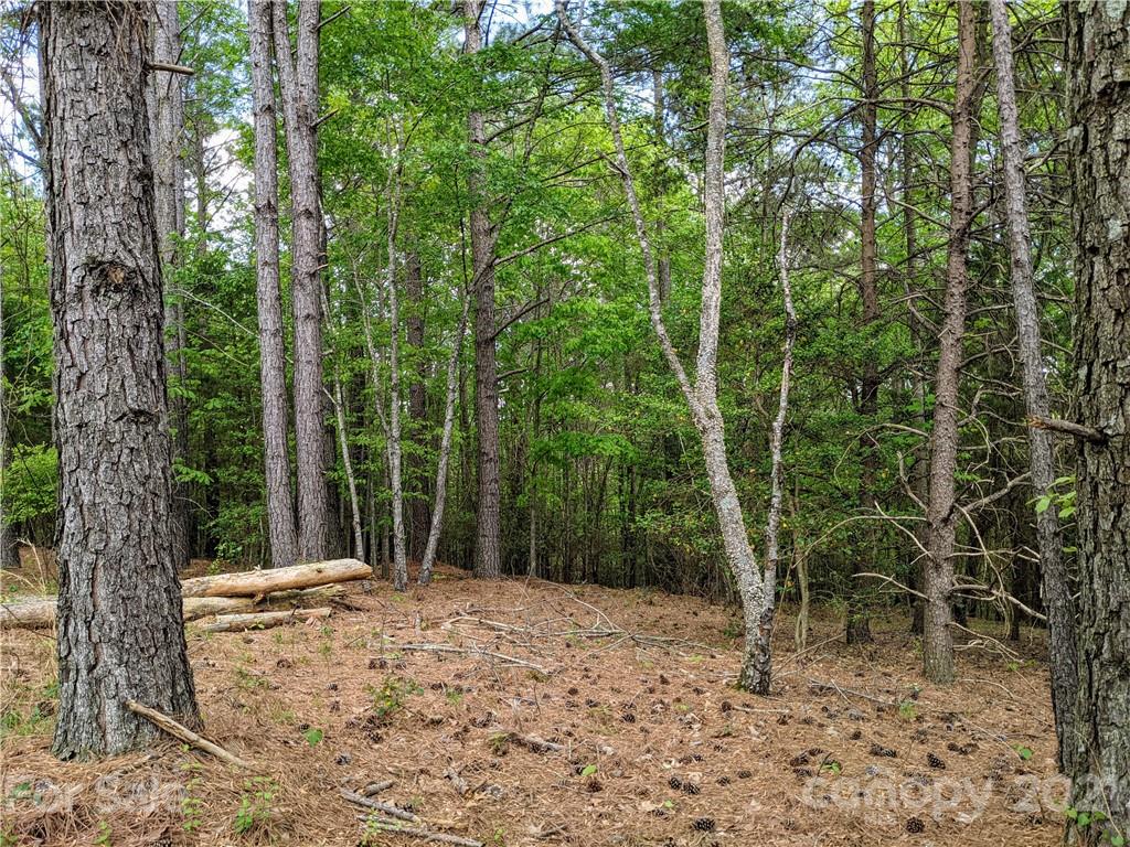 543 Stewart Rock Road Stony Point, NC 28678 - Photo 17 of 30 Gallery Image 17