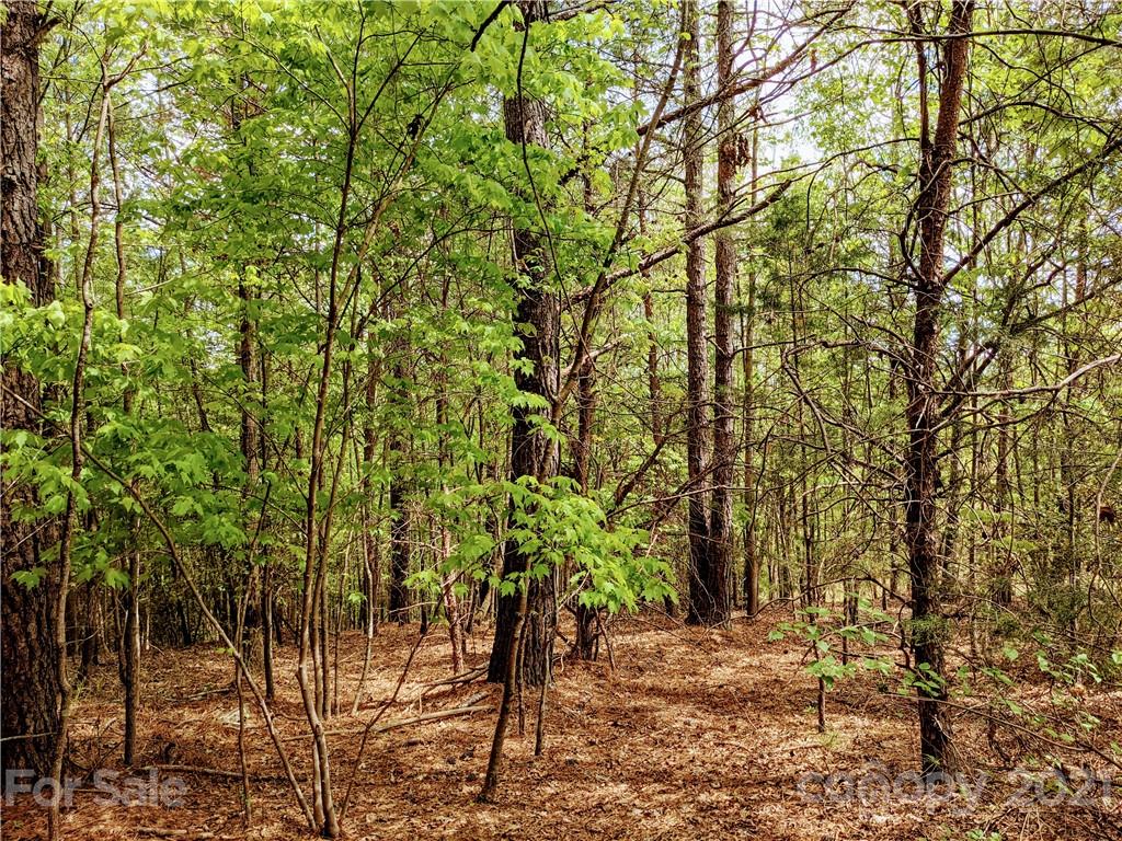 543 Stewart Rock Road Stony Point, NC 28678 - Photo 21 of 30 Gallery Image 21