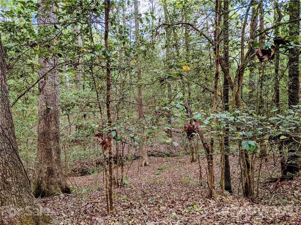 543 Stewart Rock Road Stony Point, NC 28678 - Photo 24 of 30 Gallery Image 24