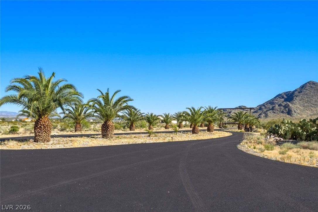 4892 Quail Run Road Pahrump, NV 89060 - Photo 9 of 90 A private paved driveway leads to a desert oasis, featuring a mountain view and lush palm trees.