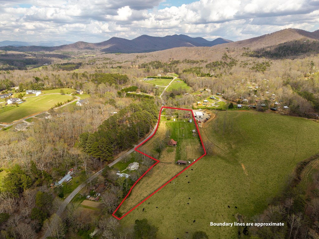 1252 Old Gumlog Road Blairsville, GA 30512 - Photo 64 of 76