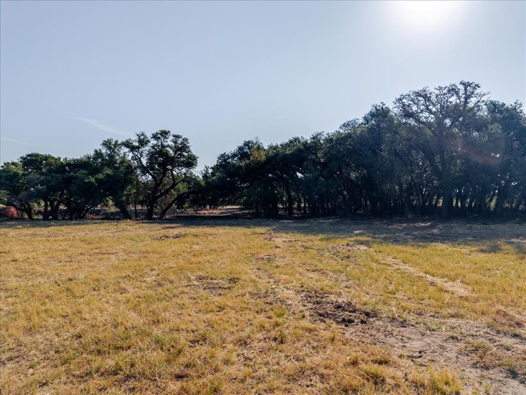 2768 Live Oak Road Santo, TX 76472 - Photo 9 of 23 Gallery Image 9