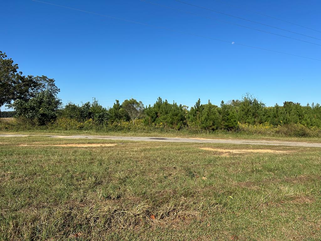 95 (columbia Rd) Road Abbeville, AL 36310 - Photo 11 of 41