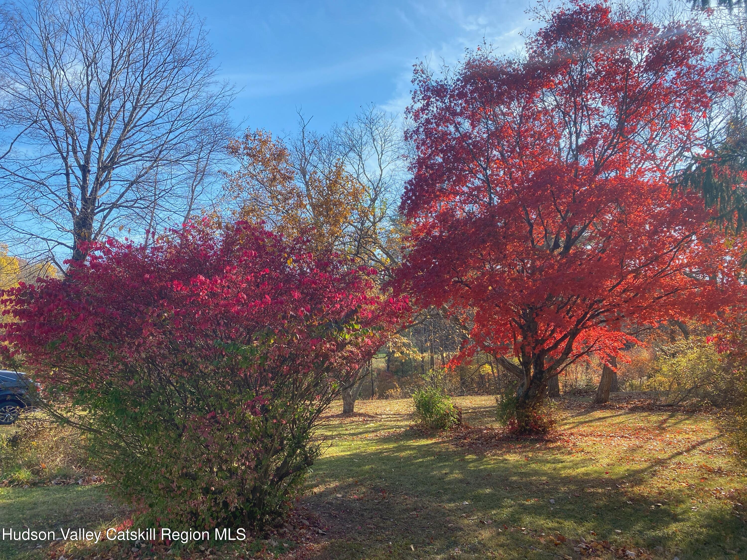 17 Bostock Road Shokan, NY 12481 - Photo 11 of 66 a backyard of a house with a yard and large tree
