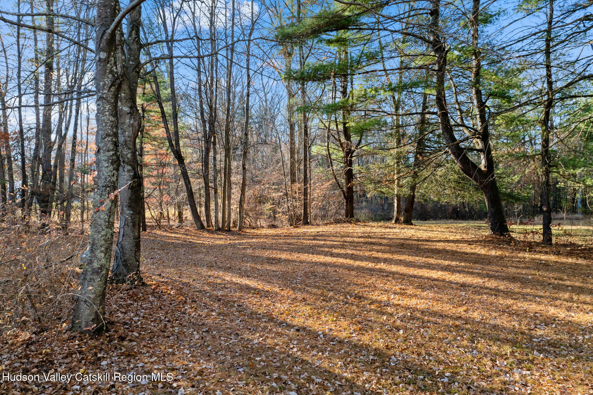 17 Bostock Road Shokan, NY 12481 - Photo 54 of 66 a view of a yard with plants and trees