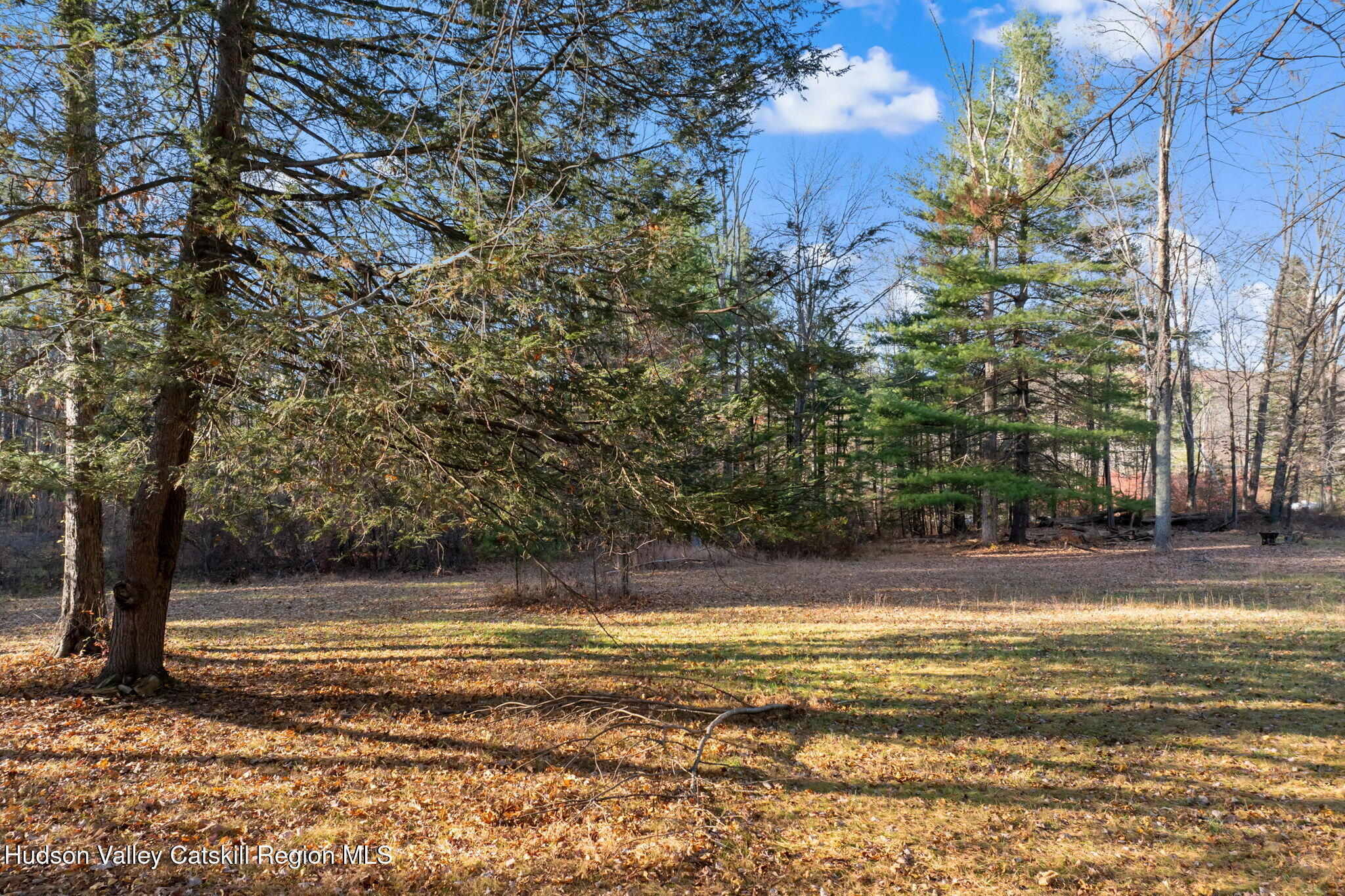 17 Bostock Road Shokan, NY 12481 - Photo 56 of 66 a view of a swimming pool and a yard