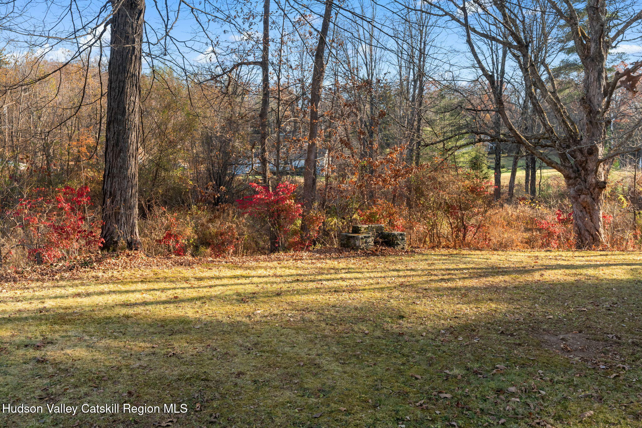 17 Bostock Road Shokan, NY 12481 - Photo 58 of 66 a view of a yard with large trees