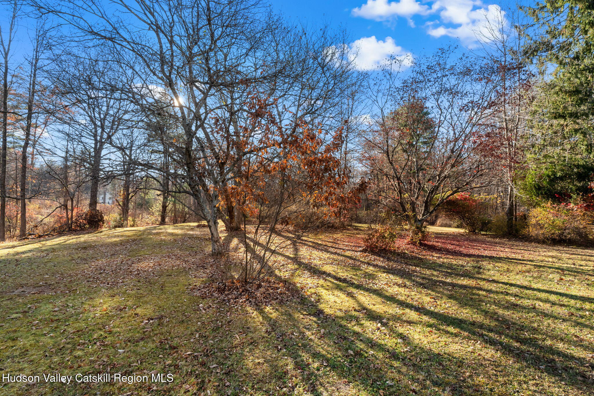 17 Bostock Road Shokan, NY 12481 - Photo 59 of 66 a view of a yard with a tree