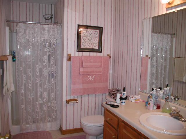 2498 Edwardsville Road Hardy, VA 24101 - Photo 8 of 14 a bathroom with a sink a toilet and shower curtain
