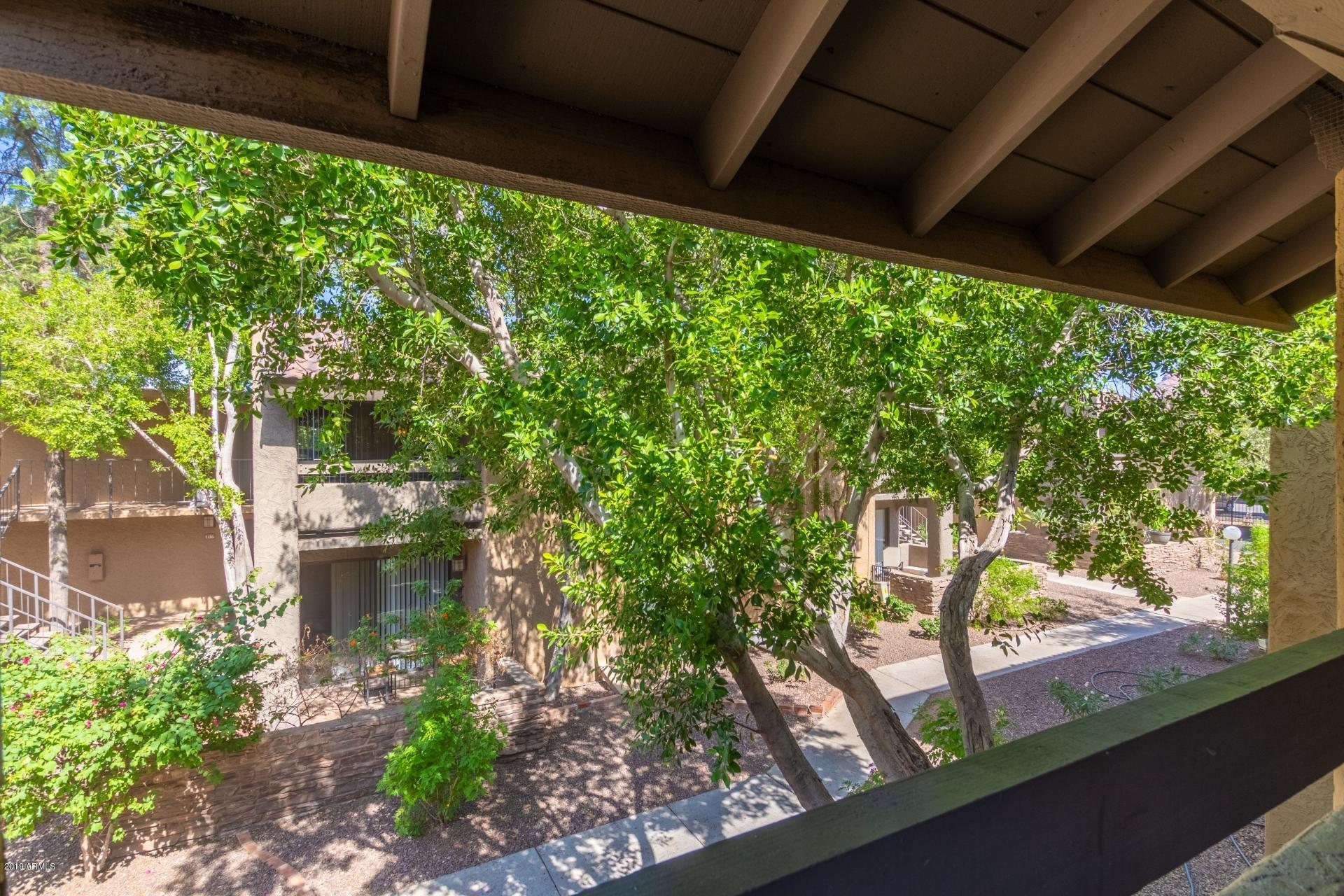 3825 East Camelback Road, Unit 212 Phoenix, AZ 85018 - Photo 14 of 20 0016-Camelback (16)