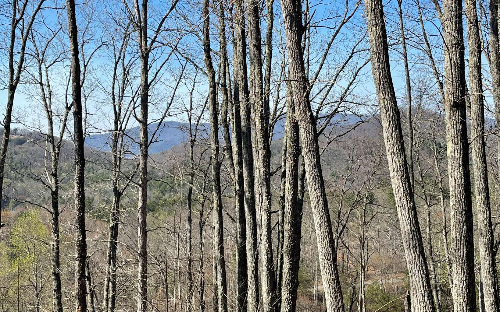 17 M Ridges Hayesville, NC 28904 - Photo 21 of 31 Additional View