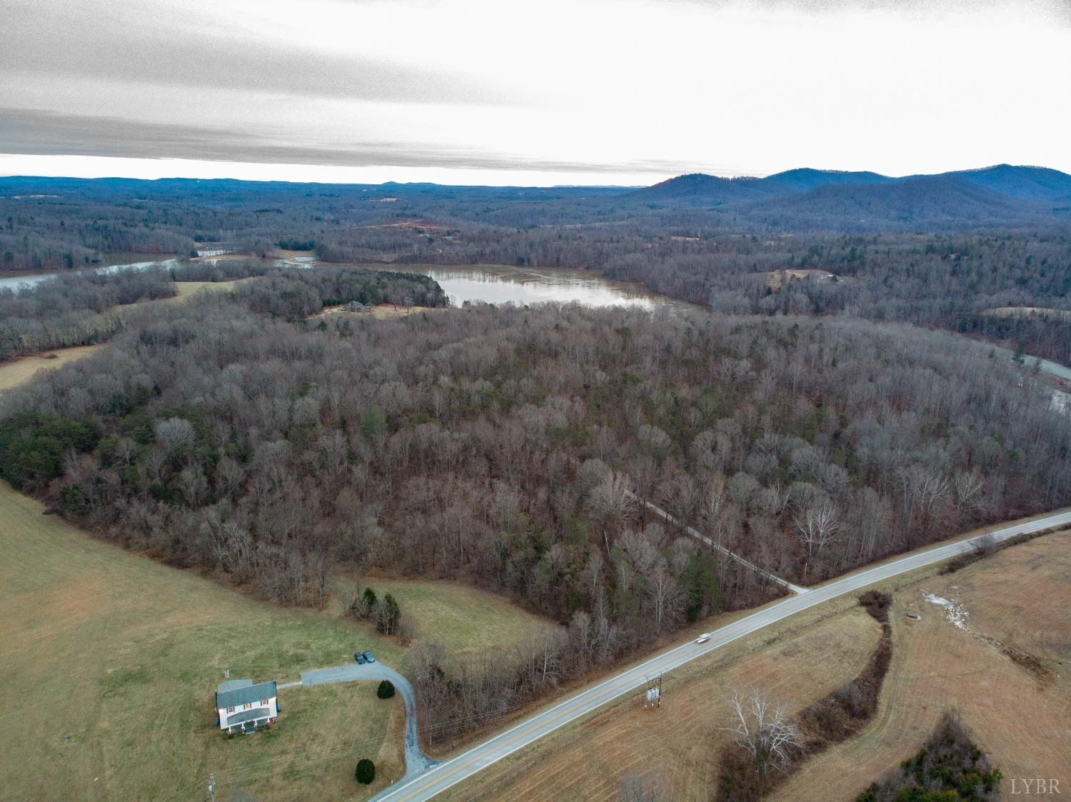 1394 Lowesville Road Amherst, VA 24521 - Photo 12 of 38 a view of a forest from a window