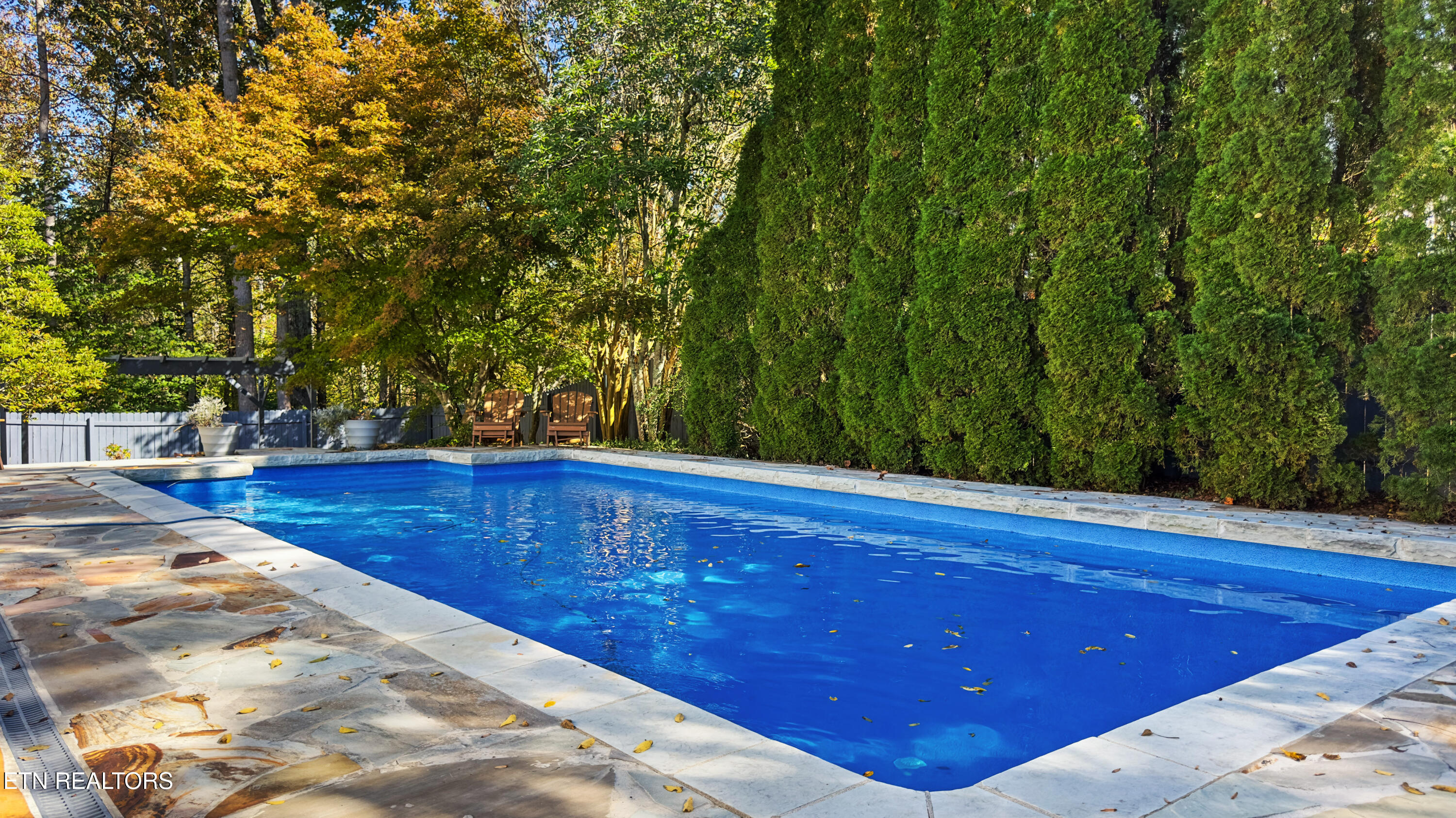 111 Baypath Drive Oak Ridge, TN 37830 - Photo 45 of 55 THE POOL!