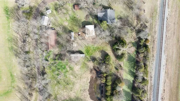 a close up of a tree