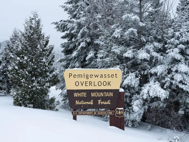 $595,000 | 12 Twin Tip Terrace, Unit 10, Lincoln, NH 03251