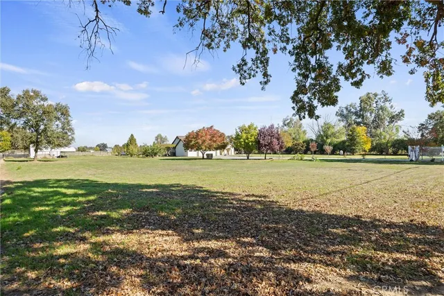 a view of an ocean and trees