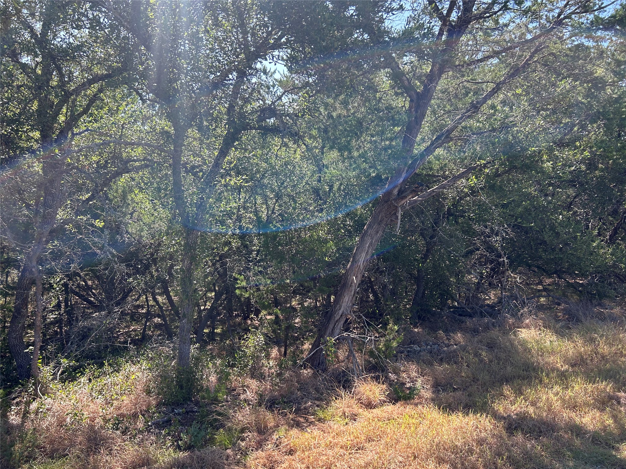 201 Sunset Road Georgetown, TX 78633 - Photo 3 of 3 A tranquil, tree-filled lot offers a private, shaded canvas for your future home.