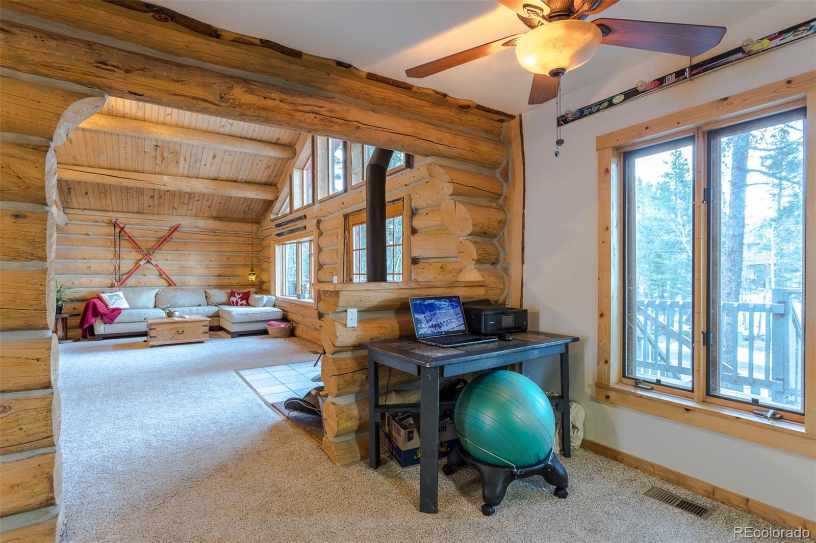1011 Rudi Lane Golden, CO 80403 - Photo 21 of 38 Gallery Image 21
