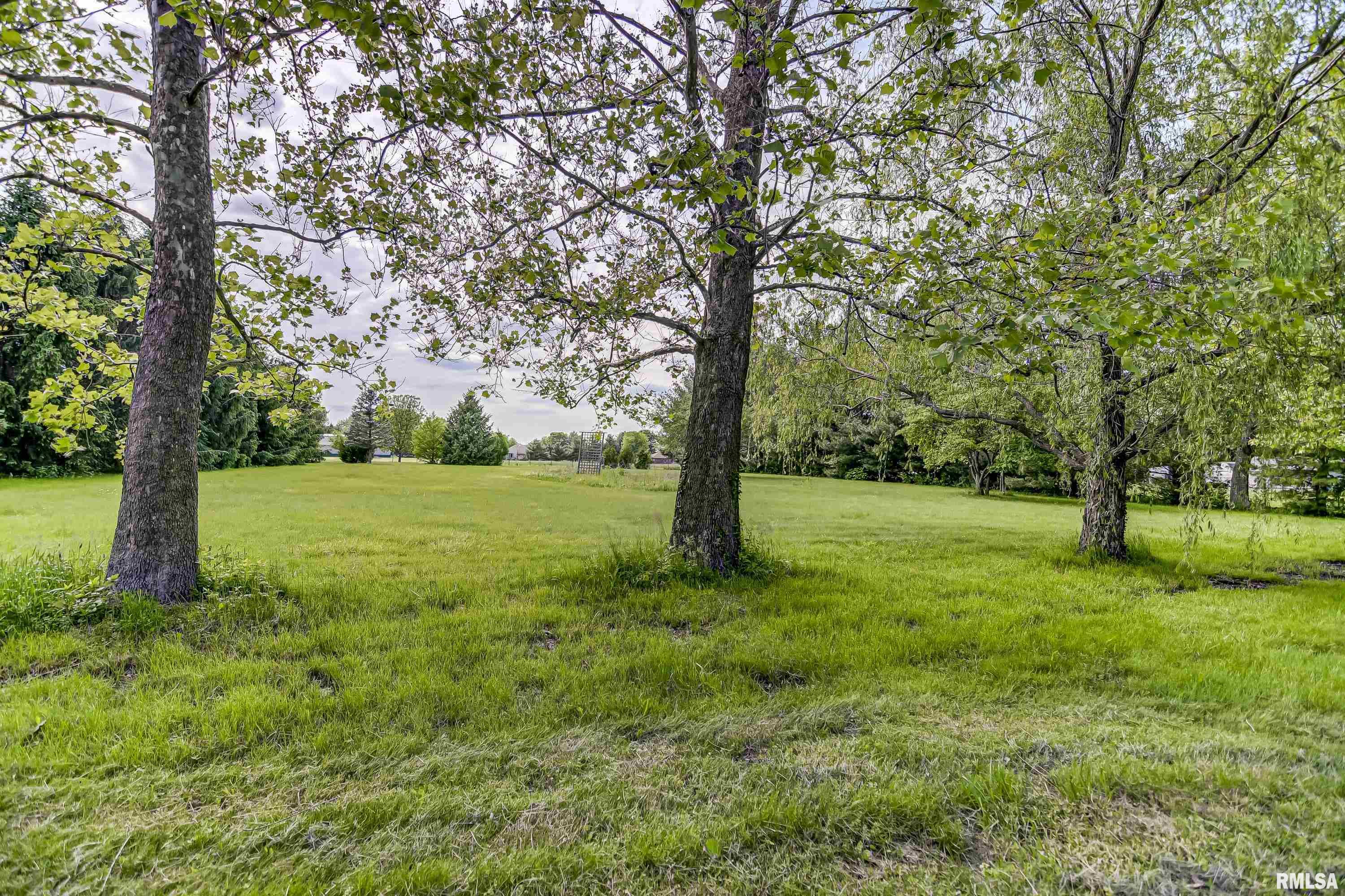 39 Carole Road Springfield, IL 62711 - Photo 56 of 59