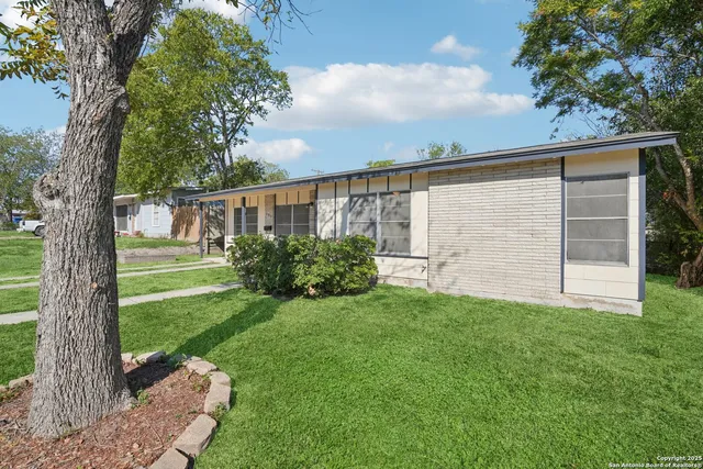 a view of a backyard with plants and large trees