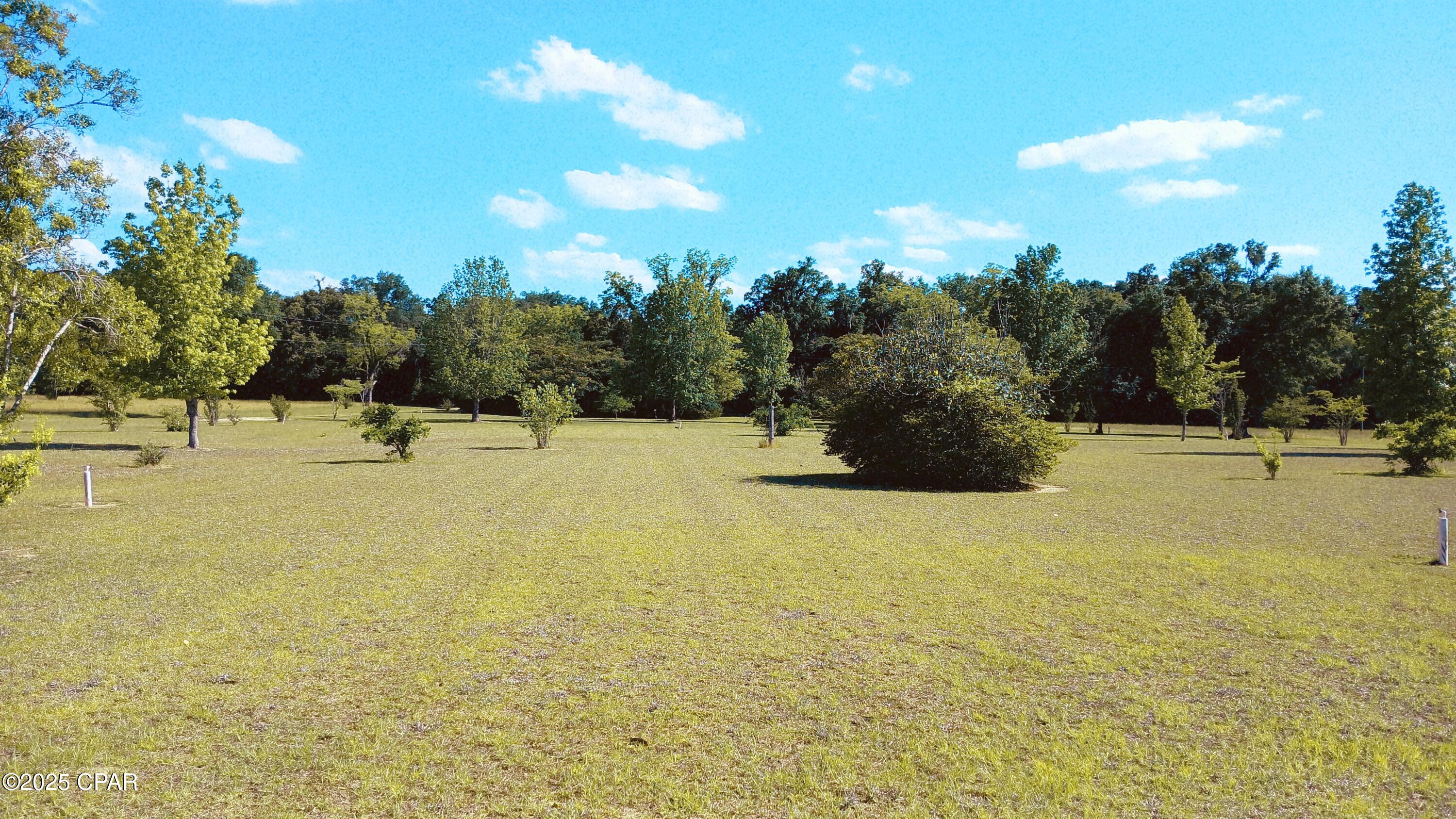 6694 Wolf Pond Road Bascom, FL 32423 - Photo 5 of 23