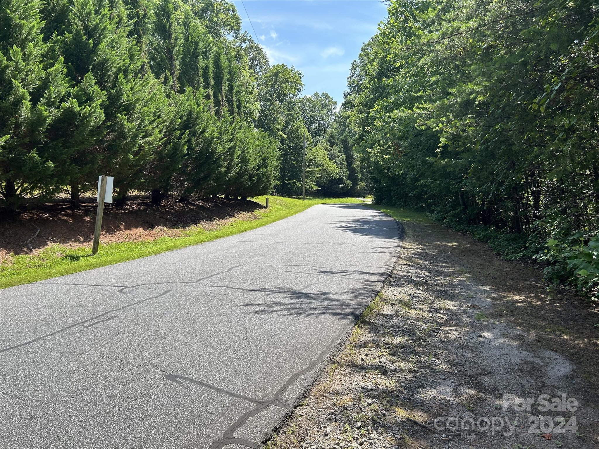 0 River Ridge Parkway Rutherfordton, NC 28139 - Photo 2 of 15 a view of a yard with plants and trees