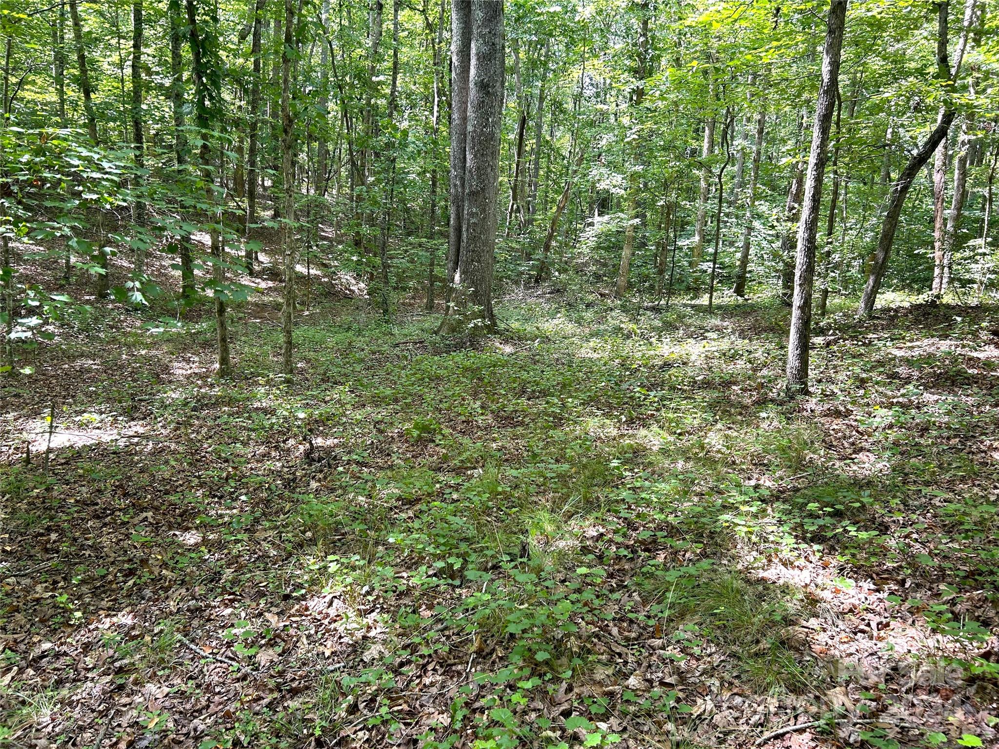 0 River Ridge Parkway Rutherfordton, NC 28139 - Photo 3 of 15 a view of outdoor space and green space