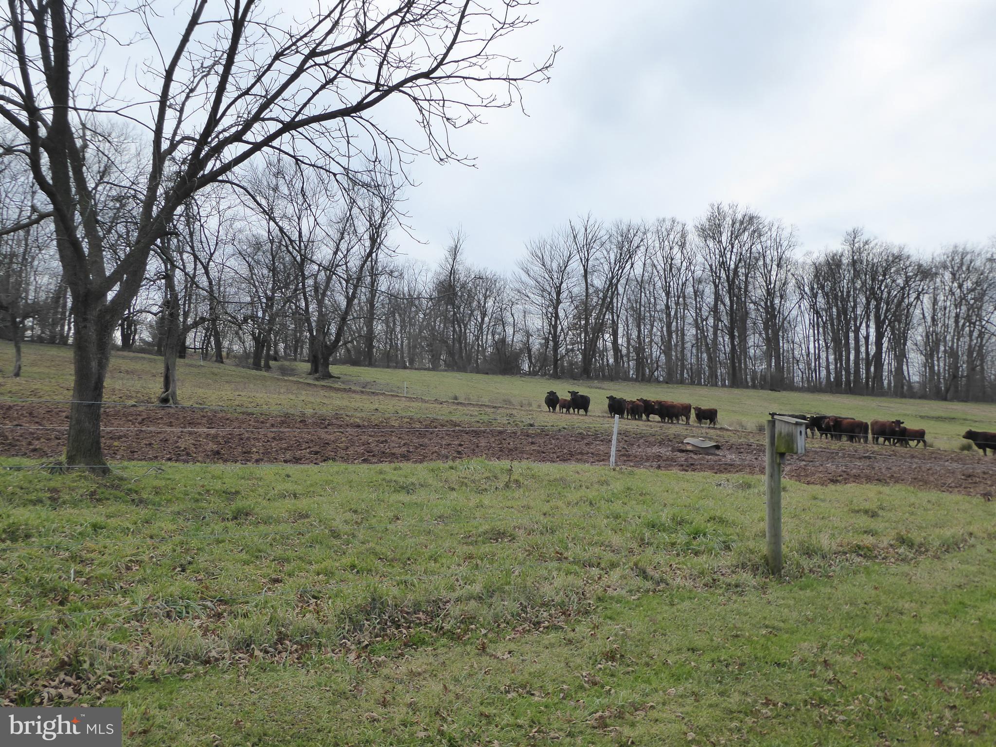 20 Hackman Road Newmanstown, PA 17073 - Photo 17 of 24