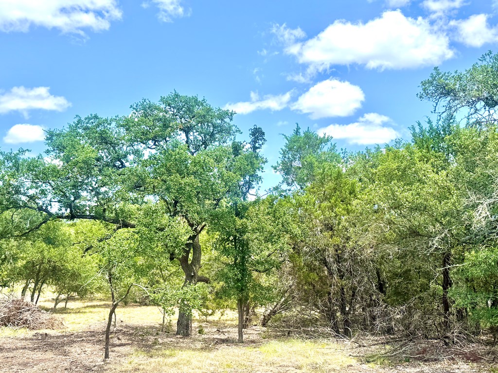 119 Broken Spur Road Mountain Home, TX 78058 - Photo 12 of 14