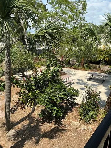 a view of a yard with plants