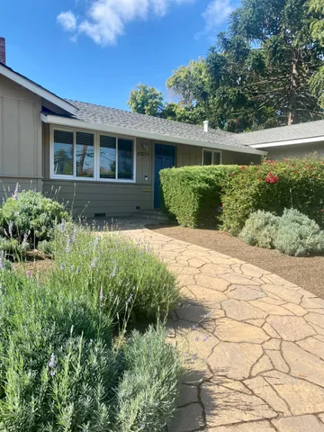 a view of backyard with a garden and plants