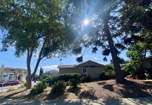 a view of a backyard with plants