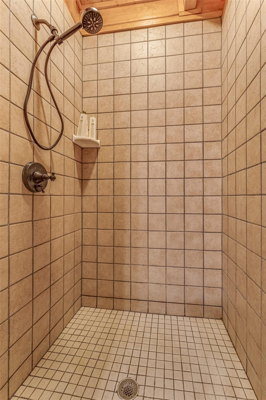 61 North Boundary Rd Mill Spring Mill Spring, NC 28756 - Photo 29 of 46 a bathroom with a shower