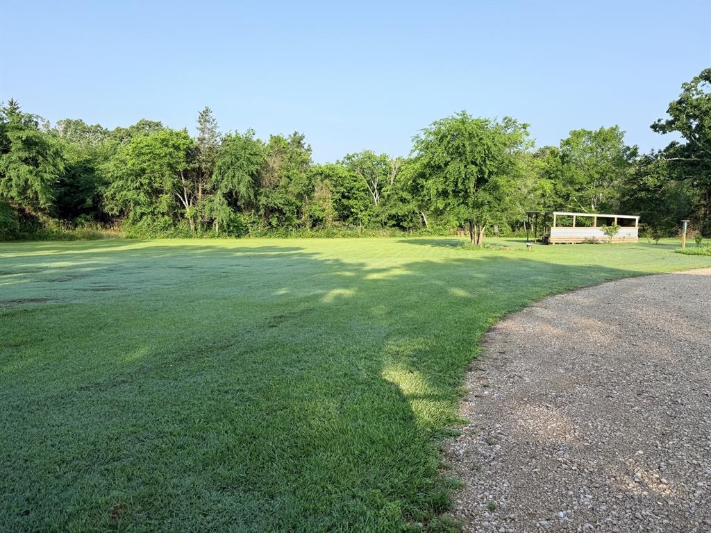400 VZ County Road Ben Wheeler, TX 75754 - Photo 3 of 8 a view of a grassy field with trees in the background