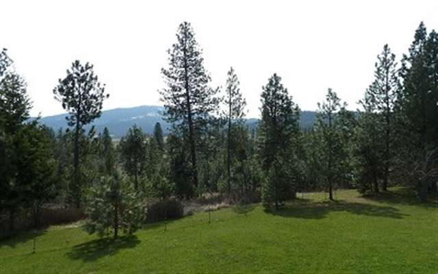 4717 South Chapman Road Greenacres, WA 99016 - Photo 7 of 8