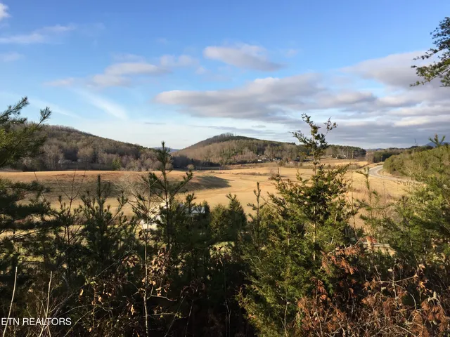 $895,900 | 115 Martin Road, Tellico Plains, TN 37385