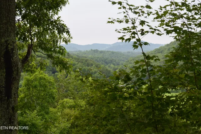 $895,900 | 115 Martin Road, Tellico Plains, TN 37385