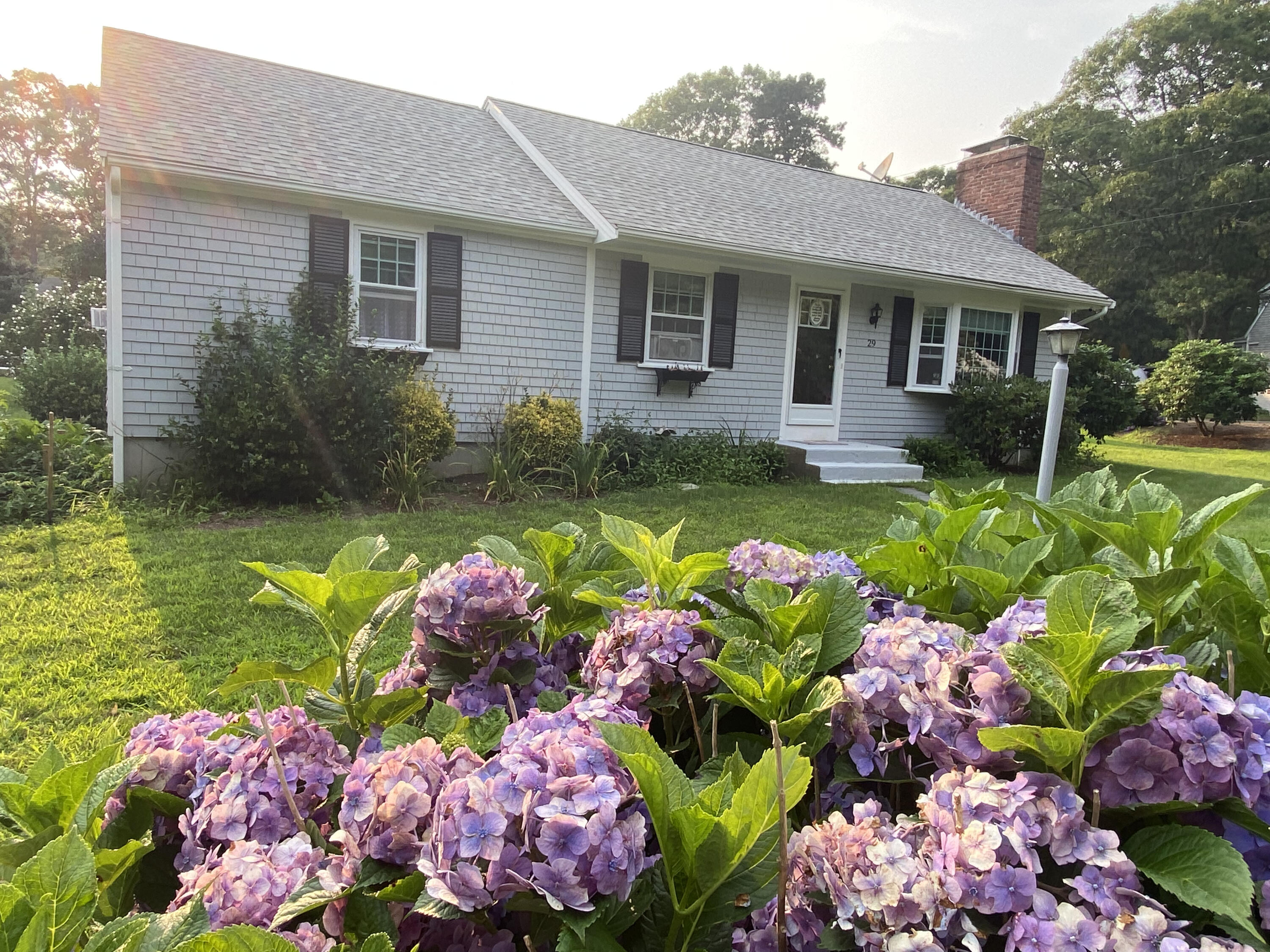 29 Padlock Lane Centerville, MA 02632 - Photo 32 of 33 a front view of a house with a yard and fountain