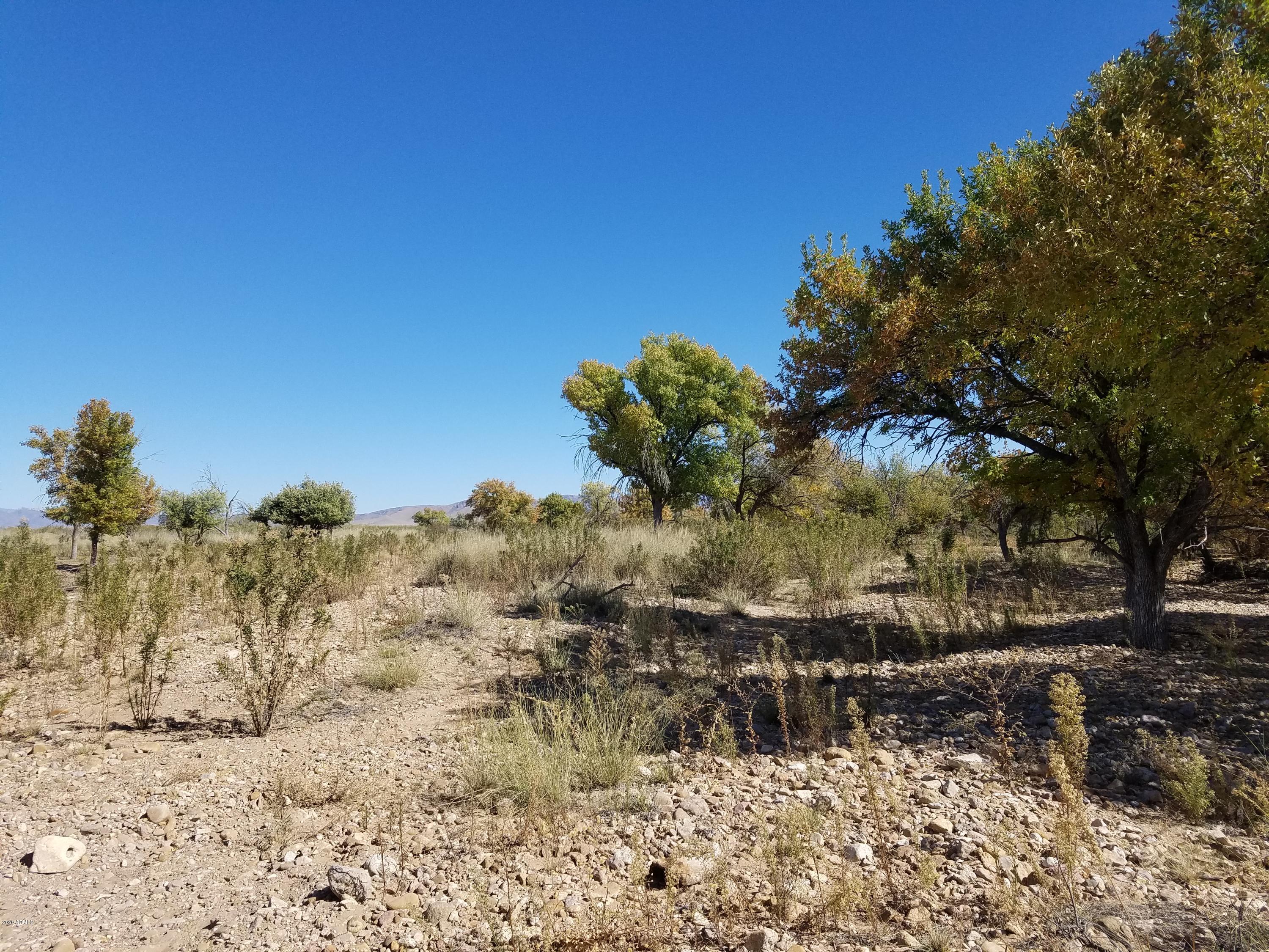 320 South Catclaw Road Pearce, AZ 85625 - Photo 15 of 44 Sunizona Pic 6