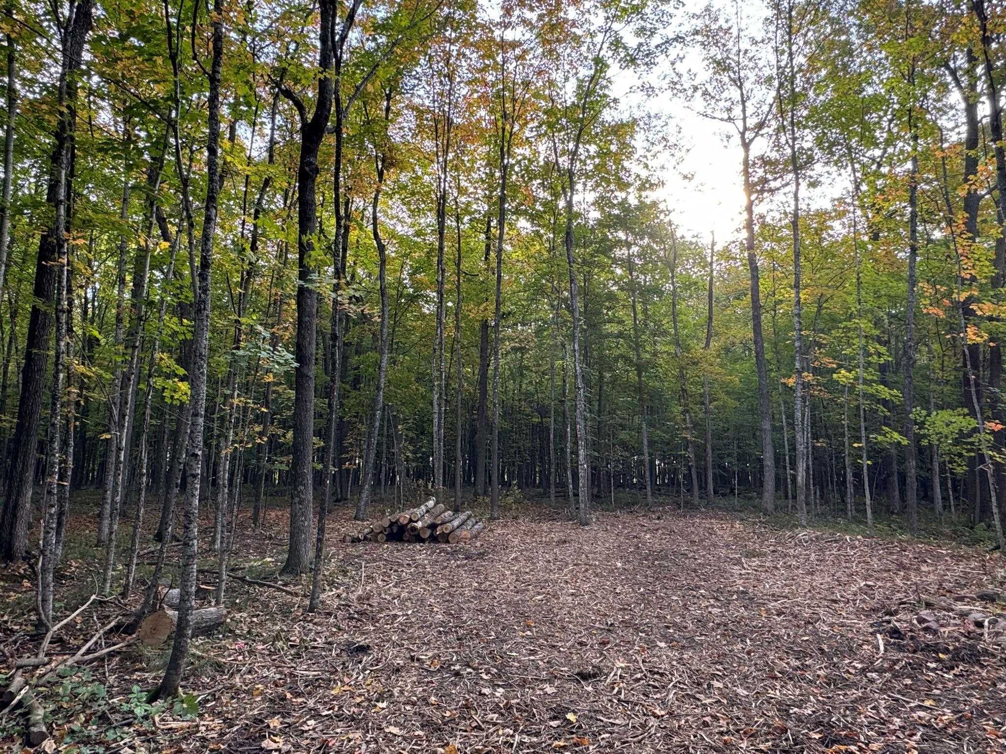 Lot 9 County Rd V Marshfield, WI 54449 - Photo 1 of 1