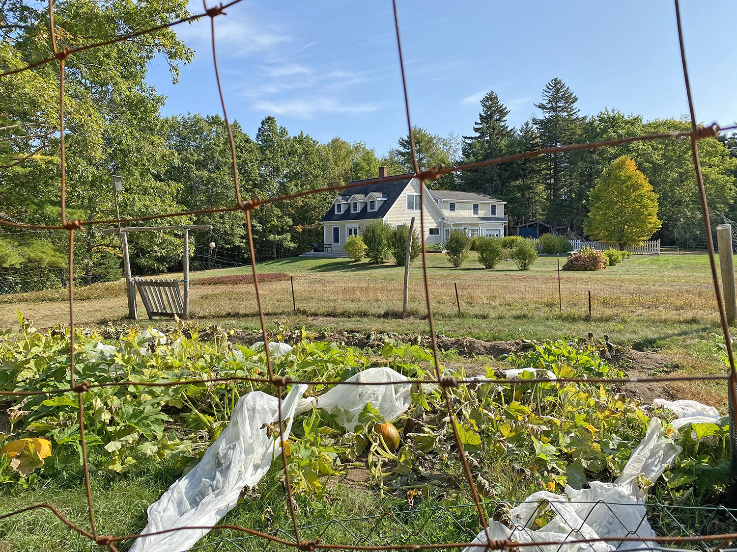 721 Morgan Bay Road Surry, ME 04684 - Photo 46 of 50 Copy of IMG_2453