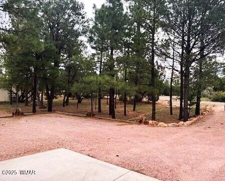 2978 Pine Rim Road Heber, AZ 85928 - Photo 5 of 30 Front Yard