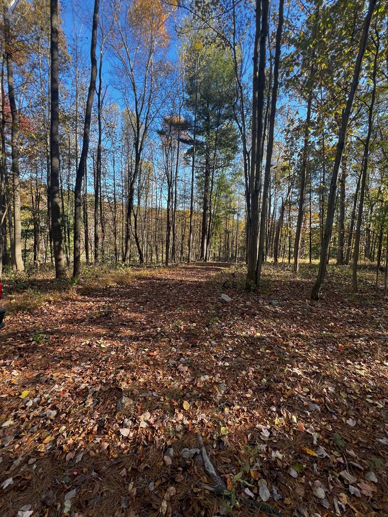 18470 Raystown Road James Creek, PA 16657 - Photo 13 of 16 Gallery Image 13