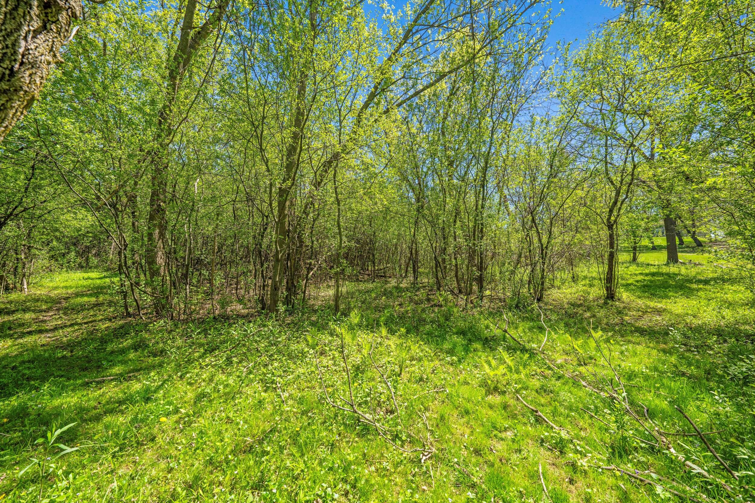 11034 West Bradley Road Milwaukee, WI 53224 - Photo 31 of 33 dsc09960