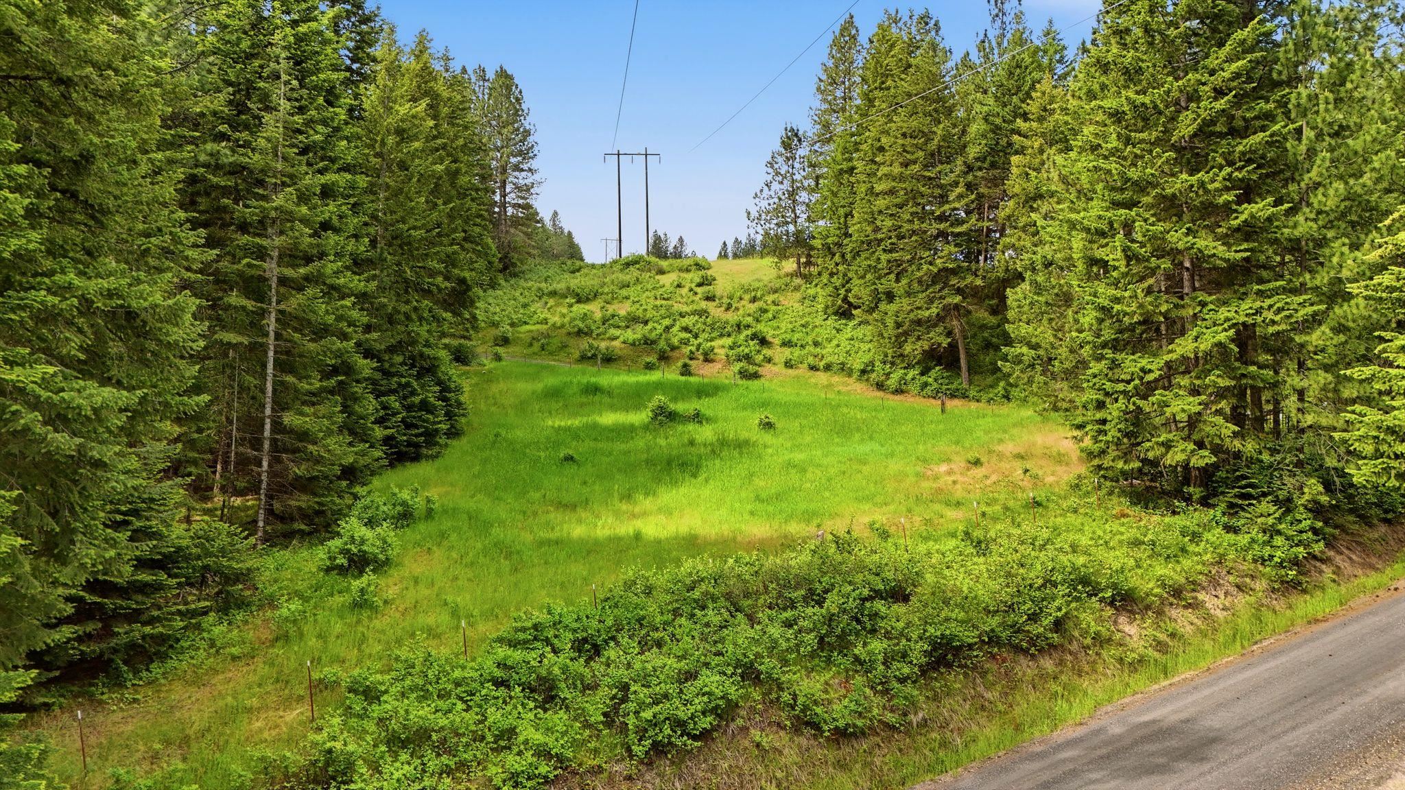 12112 East Burnett Road Mead, WA 99021 - Photo 7 of 23