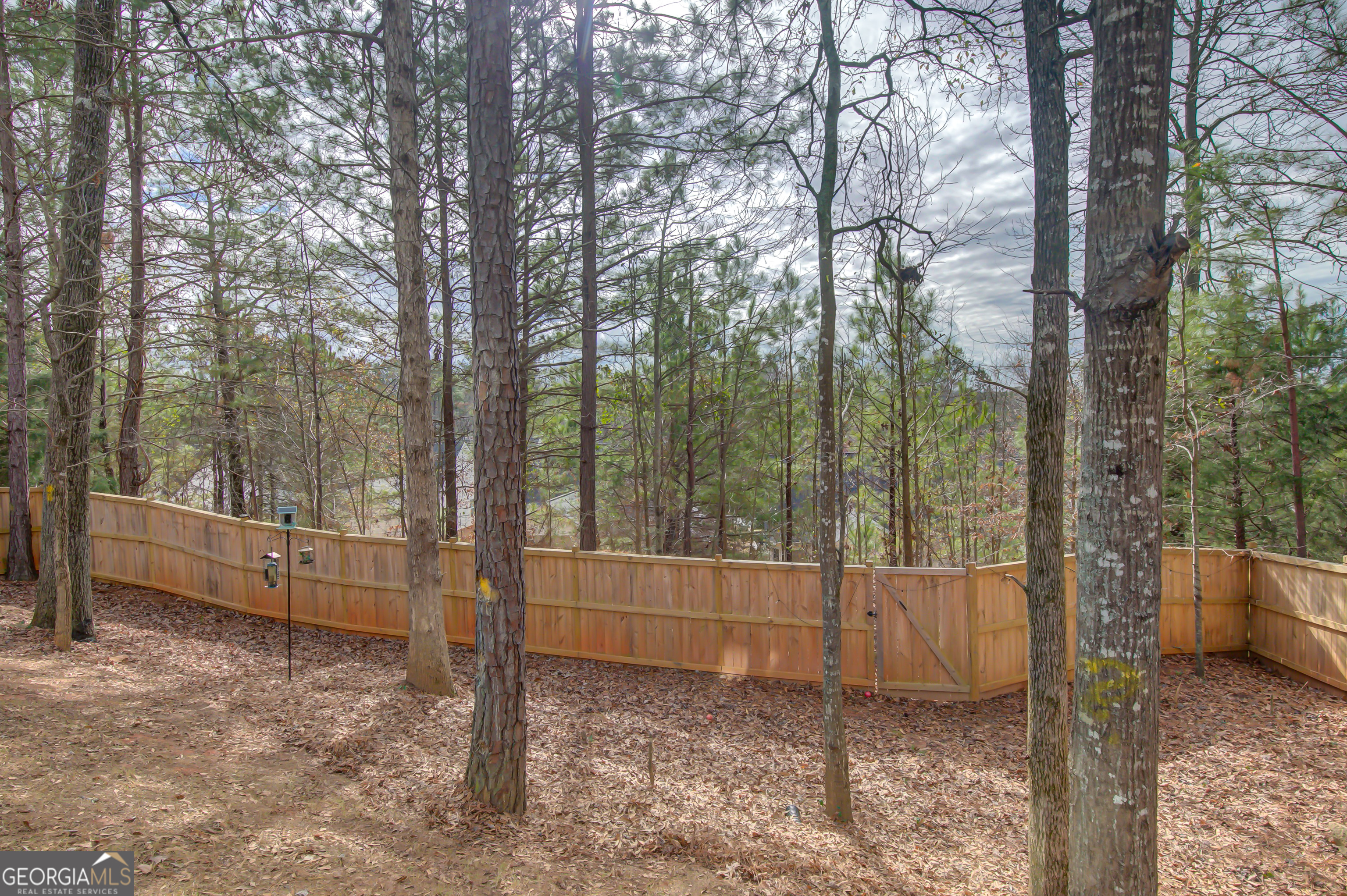 39 Boardwalk Sharpsburg, GA 30277 - Photo 69 of 78