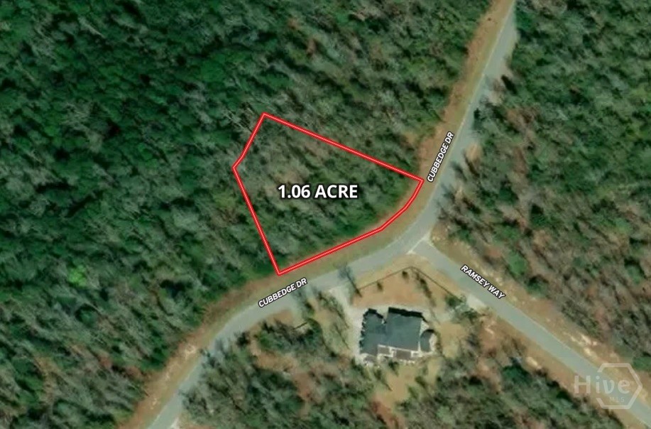172 Cubbedge Drive Rincon, GA 31326 - Photo 1 of 3