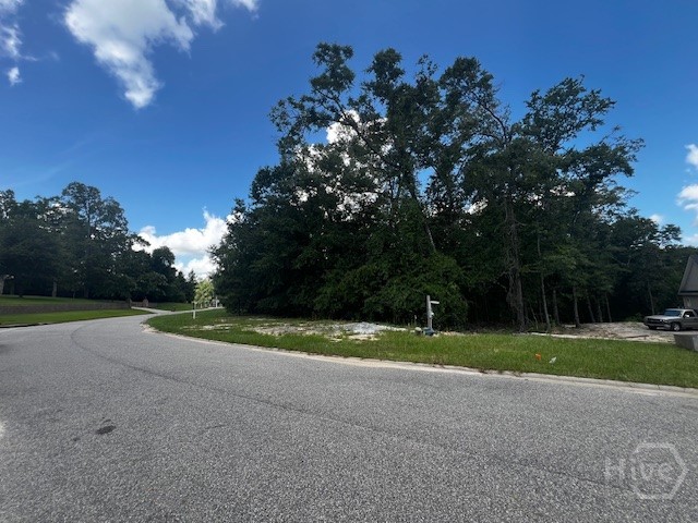 172 Cubbedge Drive Rincon, GA 31326 - Photo 2 of 3