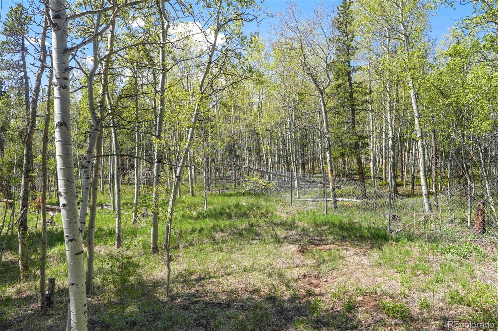 779 Highpoint Circle Black Hawk, CO 80422 - Photo 13 of 35